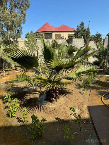 Продаётся 3-комн. дом/дача 100 м², пос. Мардакан, photo 1 from 24