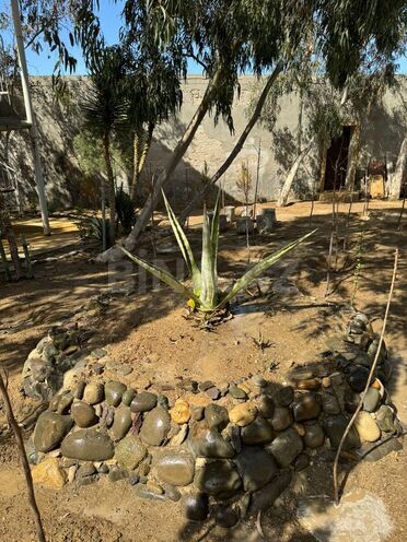 Продаётся 3-комн. дом/дача 100 м², пос. Мардакан, photo 6 from 24