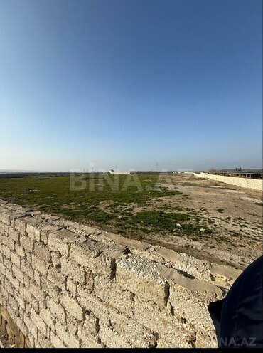 İcarəyə verilir  torpaq 350 sot, Məmmədli q., photo 1 from 3