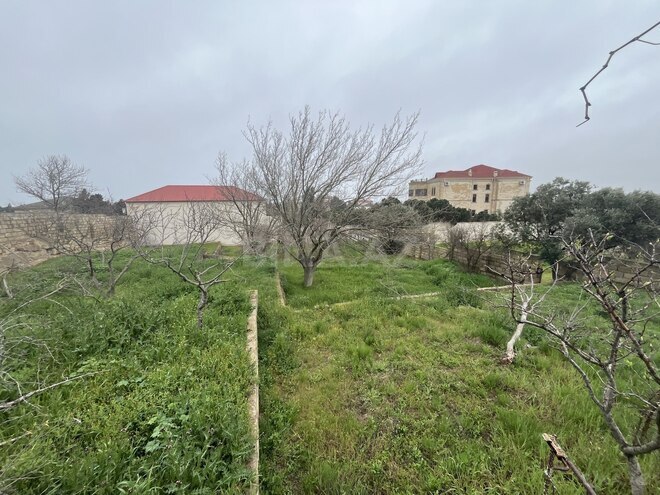 Продаётся  участок 16 сот, пос. Нардаран, photo 13 from 15
