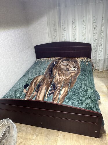 İcarəyə verilir 1 otaqlı həyət evi/bağ evi 25 m², Binəqədi q., photo 11 from 25