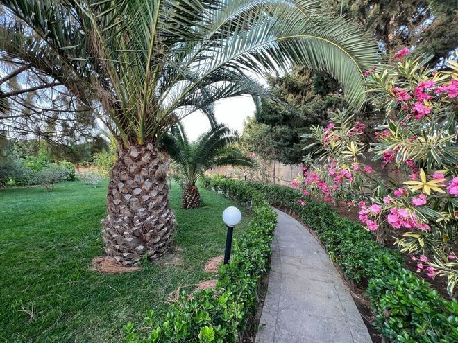 Сдаётся 7-комн. дом/дача 580 м², пос. Нардаран, photo 8 from 29