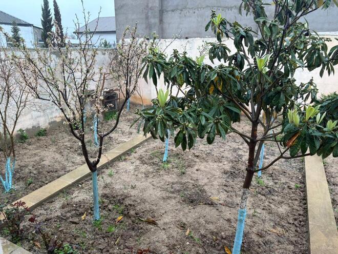 Продаётся 5-комн. дом/дача 115 м², пос. Говсан, photo 7 from 20