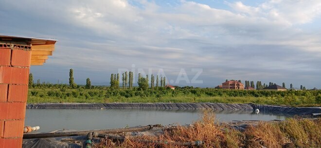 Satılır  torpaq 374 sot, photo 13 from 16
