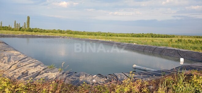 Satılır  torpaq 374 sot, photo 12 from 16