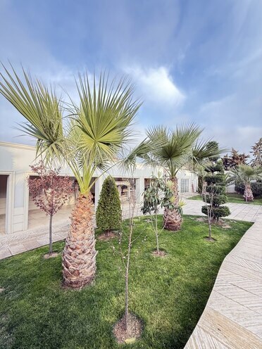 Satılır 6 otaqlı həyət evi/bağ evi 285 m², Mərdəkan q., photo 11 from 32