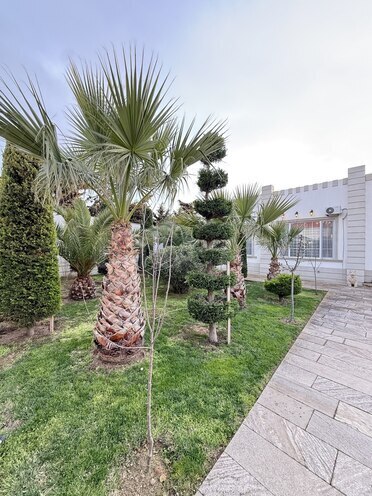 Satılır 6 otaqlı həyət evi/bağ evi 285 m², Mərdəkan q., photo 16 from 32