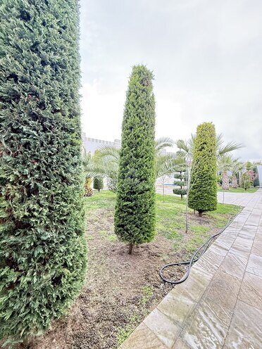 Satılır 6 otaqlı həyət evi/bağ evi 285 m², Mərdəkan q., photo 7 from 32