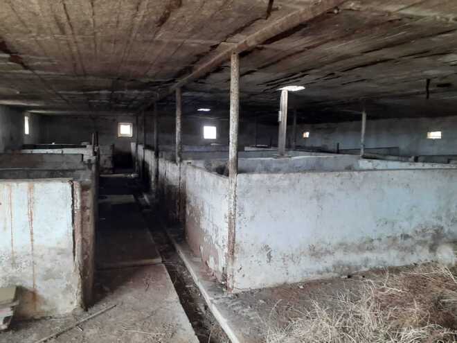 Satılır  torpaq 200 sot, Sahil q., photo 12 from 17