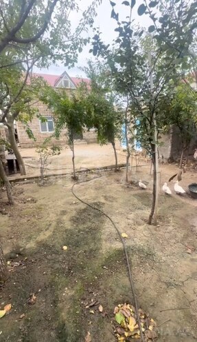 Satılır 4 otaqlı həyət evi/bağ evi 120 m², Xəzər r., photo 13 from 14