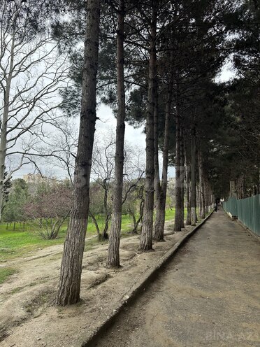 Продаётся  участок 2 сот, м. Насими, photo 6 from 7