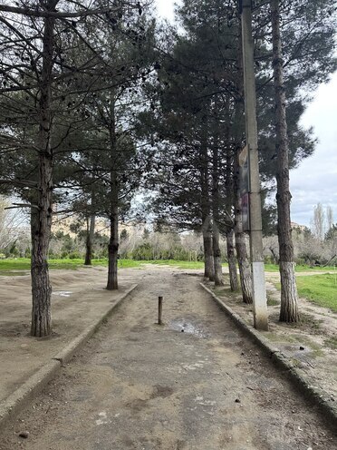 Продаётся  участок 2 сот, м. Насими, photo 5 from 7