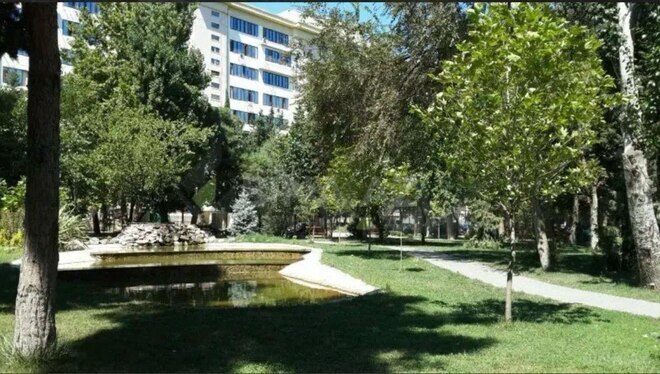 Satılır 3 otaqlı köhnə tikili 85 m², Azadlıq Prospekti m., photo 22 from 28