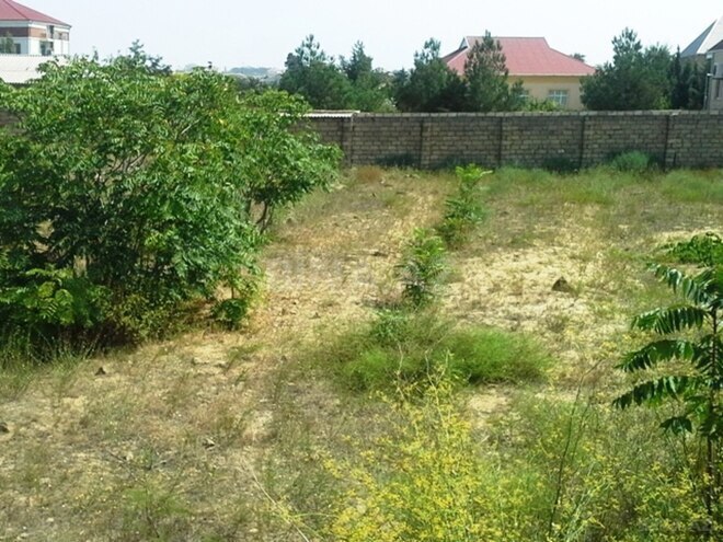 Satılır  torpaq 12 sot, Bilgəh q., photo 3 from 7
