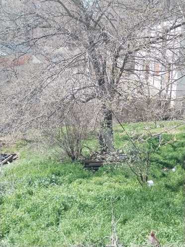 Satılır  torpaq 10 sot, İnşaatçılar m., photo 4 from 11