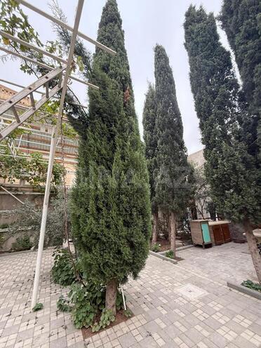 Satılır 7 otaqlı həyət evi/bağ evi 150 m², Buzovna q., photo 17 from 18