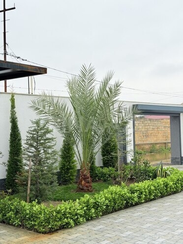 İcarəyə verilir 6 otaqlı həyət evi/bağ evi 350 m², Bilgəh q., photo 14 from 32