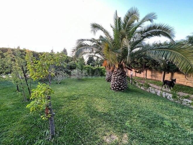 İcarəyə verilir 5 otaqlı həyət evi/bağ evi 350 m², Bilgəh q., photo 6 from 32
