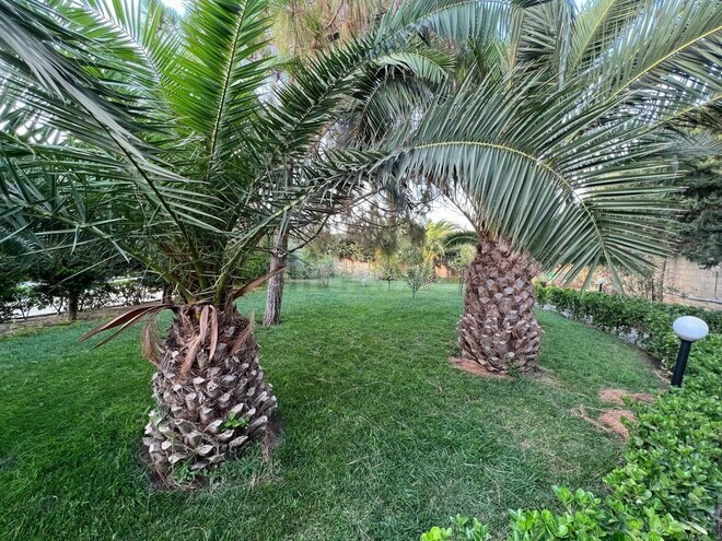 İcarəyə verilir 5 otaqlı həyət evi/bağ evi 350 m², Bilgəh q., photo 13 from 32