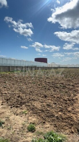 Сдаётся  участок 1 500 сот, пос. Бузовна, photo 4 from 7