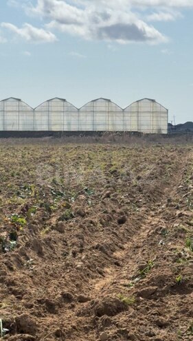 Сдаётся  участок 1 500 сот, пос. Бузовна, photo 1 from 7