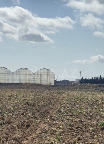 Сдаётся  участок 1 500 сот, пос. Бузовна, photo 5 from 7