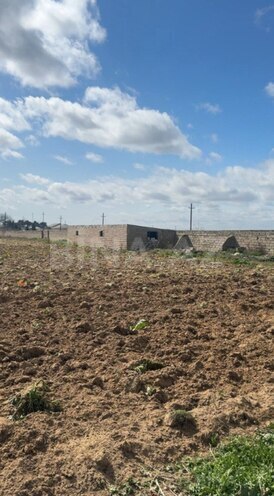 Сдаётся  участок 1 500 сот, пос. Бузовна, photo 6 from 7