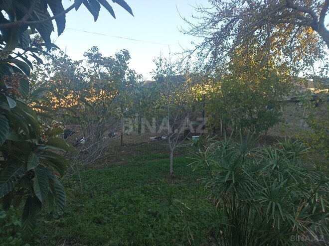 Satılır  torpaq 8 sot, Qala q., photo 1 from 7