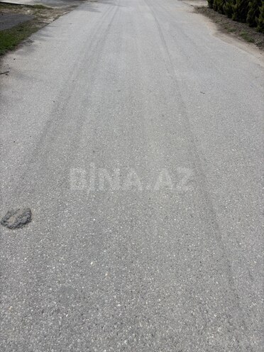 Продаётся  участок 12 сот, пос. Пиршаги, photo 4 from 6