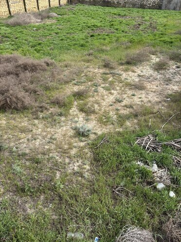 Продаётся  участок 12 сот, пос. Пиршаги, photo 3 from 6