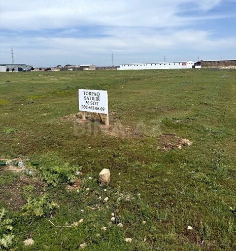 Продаётся  участок 50 сот, пос. Бина, photo 5 from 10