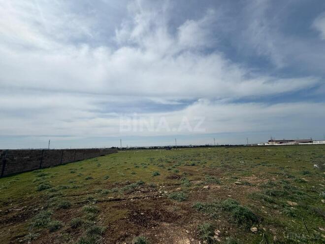 Продаётся  участок 50 сот, пос. Бина, photo 6 from 10