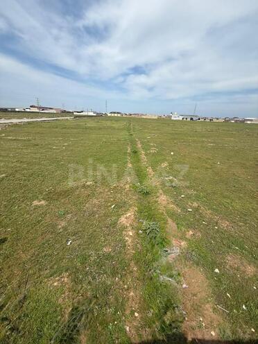 Продаётся  участок 50 сот, пос. Бина, photo 7 from 10