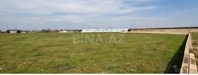 Продаётся  участок 50 сот, пос. Бина, photo 8 from 10