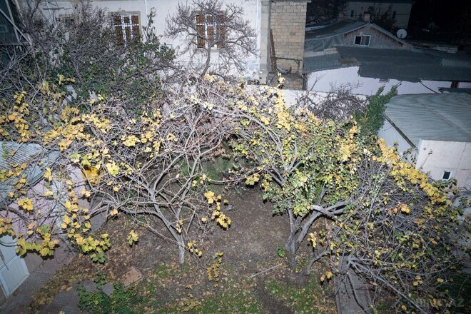 Сдаётся 10-комн. офис 522 м², м. Гянджлик, photo 22 from 27