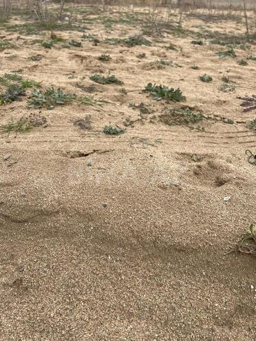 Продаётся  участок 6 сот, пос. Sea Breeze, photo 7 from 8