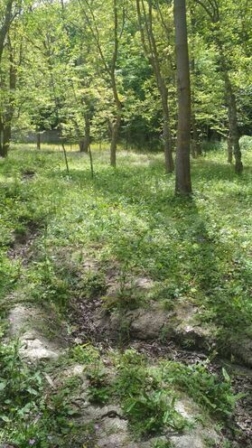 Satılır  torpaq 20 sot, Nabran r., photo 8 from 13