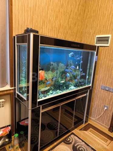 Продаётся 6-комн. дом/дача 385 м², пос. Ахмедлы, photo 17 from 32