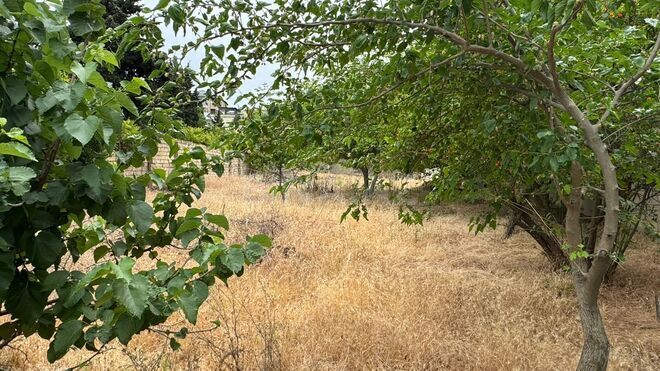 Продаётся  участок 10 сот, пос. Новханы, photo 8 from 16