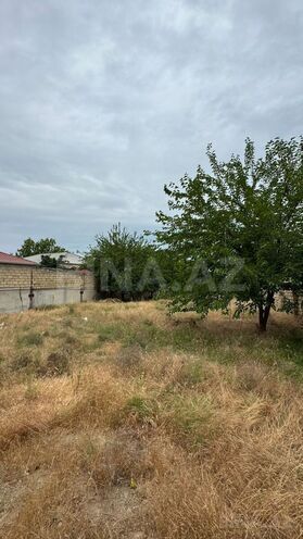 Продаётся  участок 10 сот, пос. Новханы, photo 11 from 16