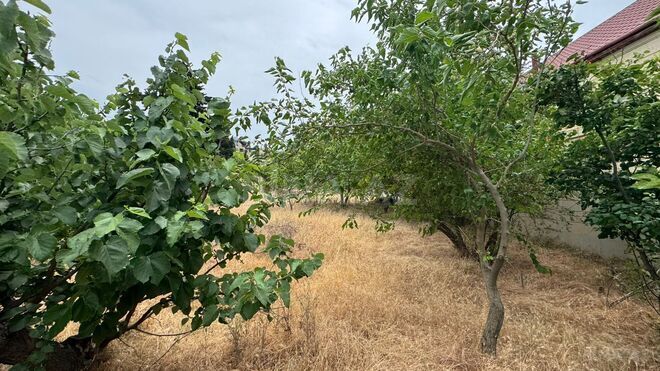 Продаётся  участок 10 сот, пос. Новханы, photo 6 from 16