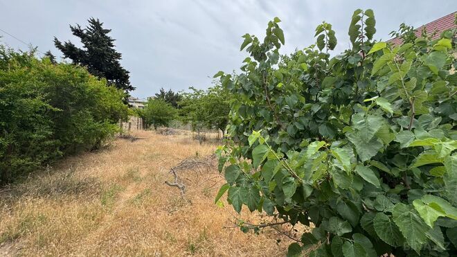 Продаётся  участок 10 сот, пос. Новханы, photo 9 from 16