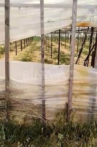 Satılır  torpaq 700 sot, Zirə q., photo 5 from 9