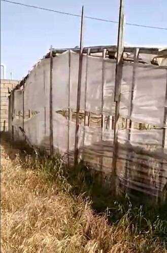 Satılır  torpaq 700 sot, Zirə q., photo 6 from 9