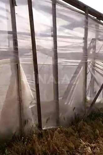 Satılır  torpaq 700 sot, Zirə q., photo 8 from 9