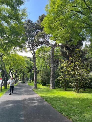 Satılır 3 otaqlı köhnə tikili 73 m², Gənclik m., photo 20 from 26