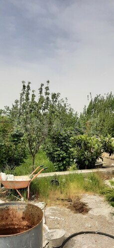 Продаётся 6-комн. дом/дача 180 м², photo 13 from 20