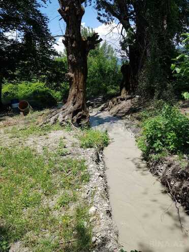 Satılır  obyekt 5 000 m², photo 8 from 12