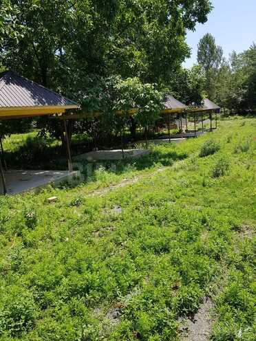 Satılır  obyekt 5 000 m², photo 7 from 12