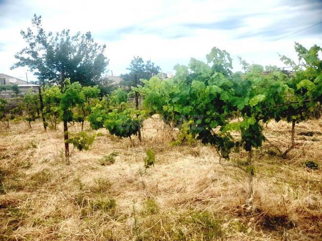 Satılır  torpaq 5.5 sot, Buzovna q., photo 3 from 6